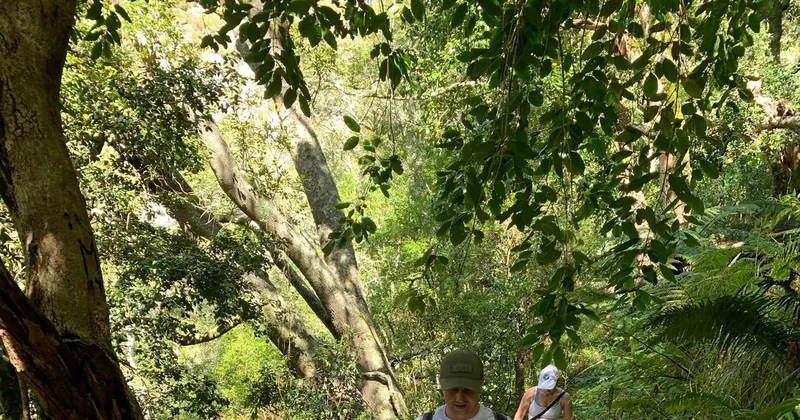 Skeleton Gorge & Kirstenbosch Hike