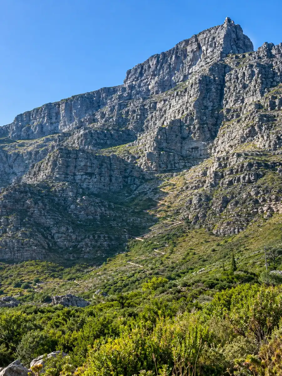 The sheer sandstone front of Table Mountain with a stone path climbing a wide gorge through fynbos