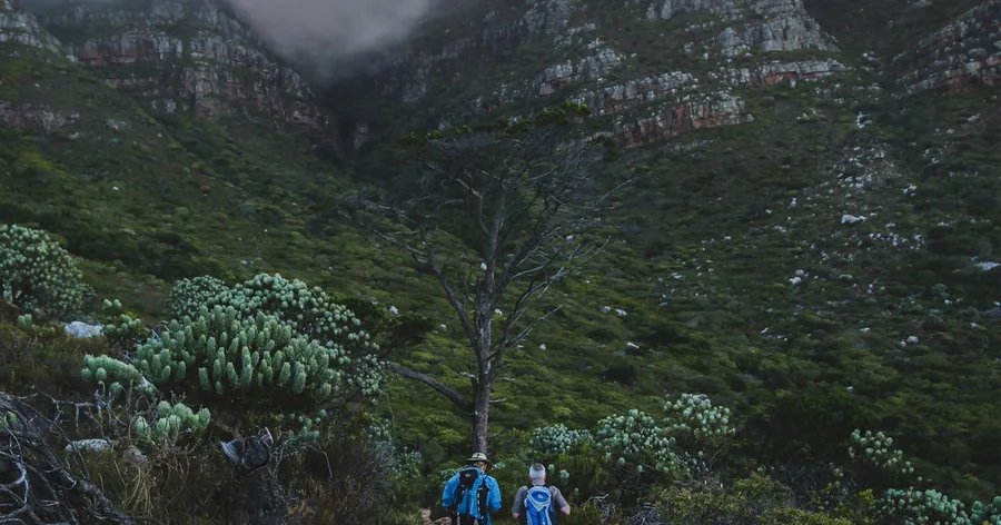 Two tiny hikers in a green gorge full of flowering shrubs below grey cliffs